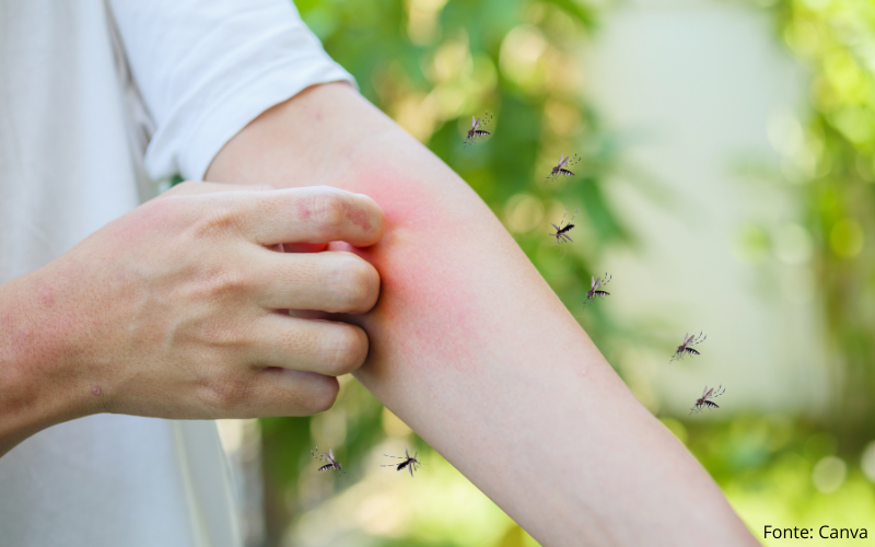 Prevenção à dengue: como reduzir riscos e proteger a saúde no dia a dia